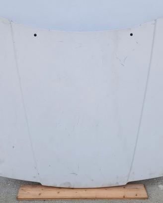 Cofano Volvo 240 Polar