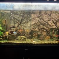 acquario 350 litri vuoto 