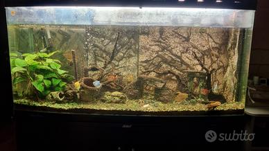 acquario 350 litri vuoto 