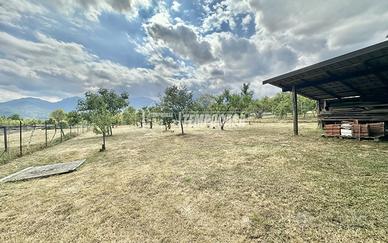TERRENO AGRICOLO DI 1000 MQ