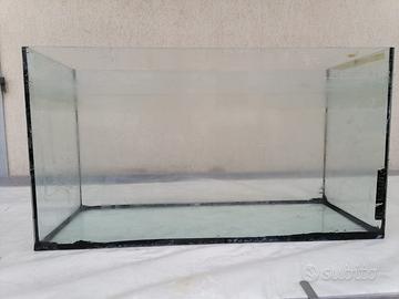 ACQUARIO