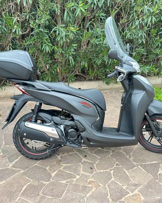 Sh300 sport abs 2019