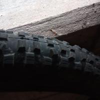 Copertone MTB Schwalbe