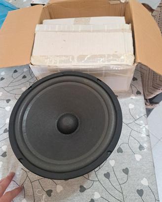 Casse auto e amplificatore