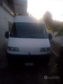  furgone fiat ducato 