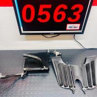 Radiatore e griglia originali peugeot XPS 50