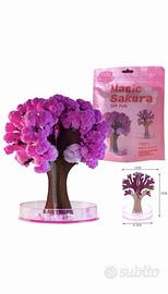 2 Pz Albero di Ciliegio Magico