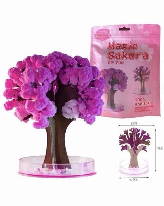 2 Pz Albero di Ciliegio Magico