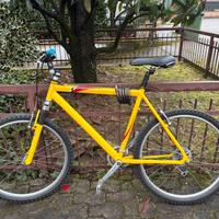 Bici - Mountain Bike