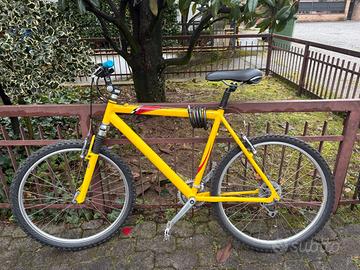 Bici - Mountain Bike