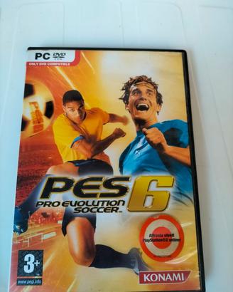 Pes 6 per PC DVD 