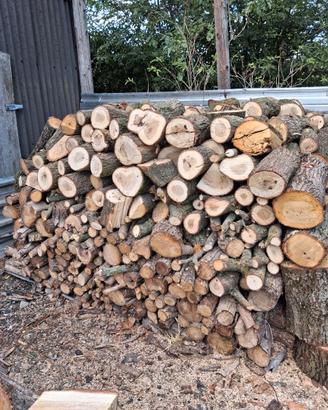 Legna di quercia