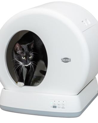 Lettiera gatto autopulente