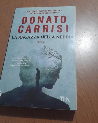 Donato Carrisi- La ragazza nella nebbia