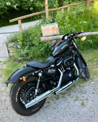 Harley Davidson 883