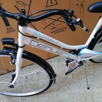 bicicletta da donna