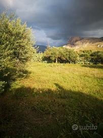 Terreno agricolo via caletta verde