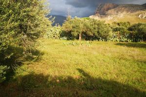 Terreno agricolo via caletta verde