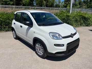 Fiat Panda 1.0 FireFly Hybrid Km0