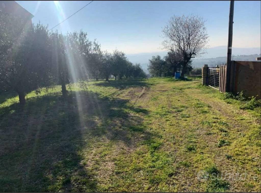 Immobile in asta di 2560 m² a Sant'Elpidio a Mare - Vista 2