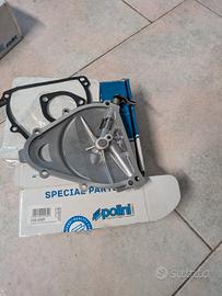 carterino polini