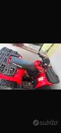 Quad sportsman
