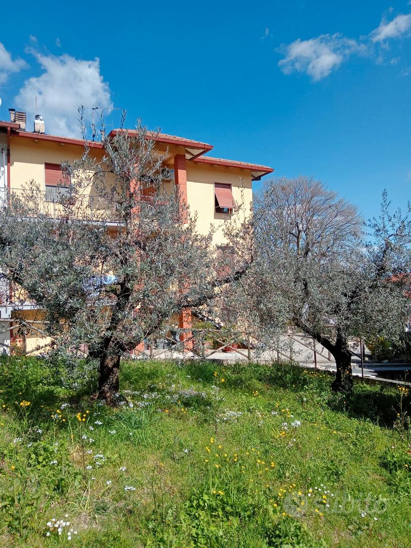 Appartamento – Terni - Vista 5