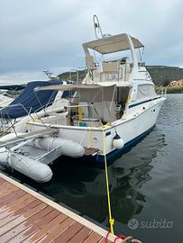Bertram 38 Fly