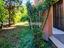 Immagine 25