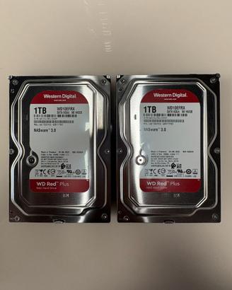 Coppia di Hard Disk WD Red per nas