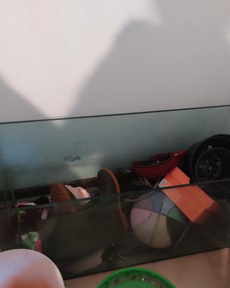 vasca per acquario in vetro!! più  mobile tv