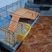 gabbia per cavie peruviane e roditori vari