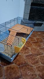 gabbia per cavie peruviane e roditori vari