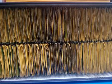 figurine calciatori panini 2014/15