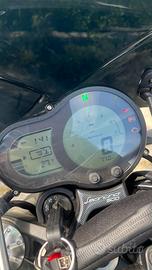Benelli Leoncino 500 trail