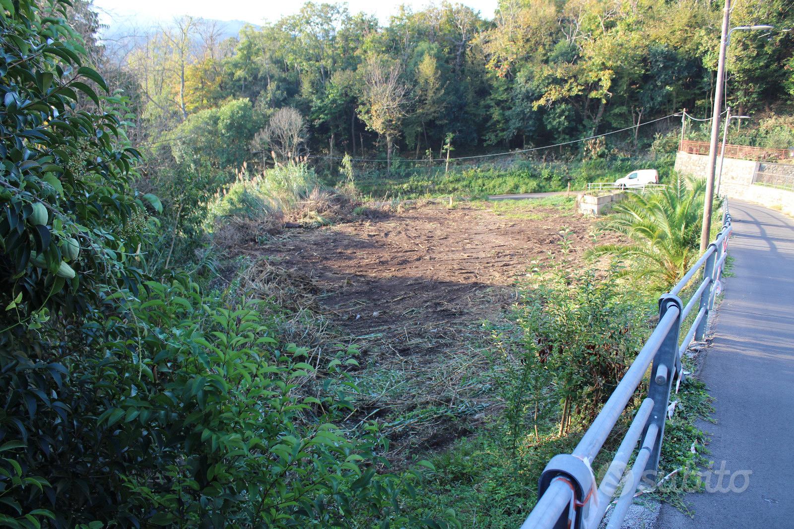 Terreno agricolo con vista mare - Vista 2