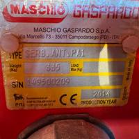 Maschio gaspardo