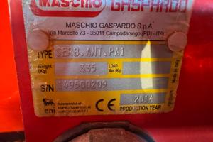 Maschio gaspardo