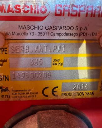 Maschio gaspardo