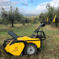 Trinciaerba professionale