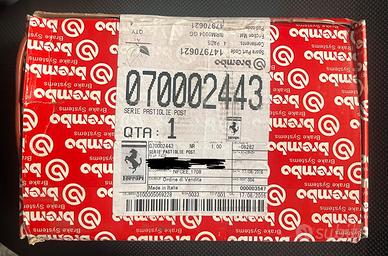 Pastiglie freno posteriori Ferrari