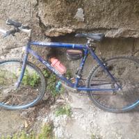 Mountain-bike Olmo