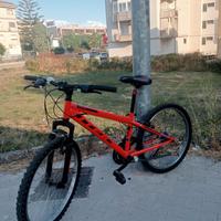 Bicicletta MTB marca ITEK