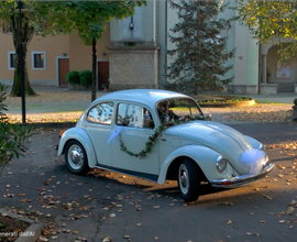 Vw maggiolino