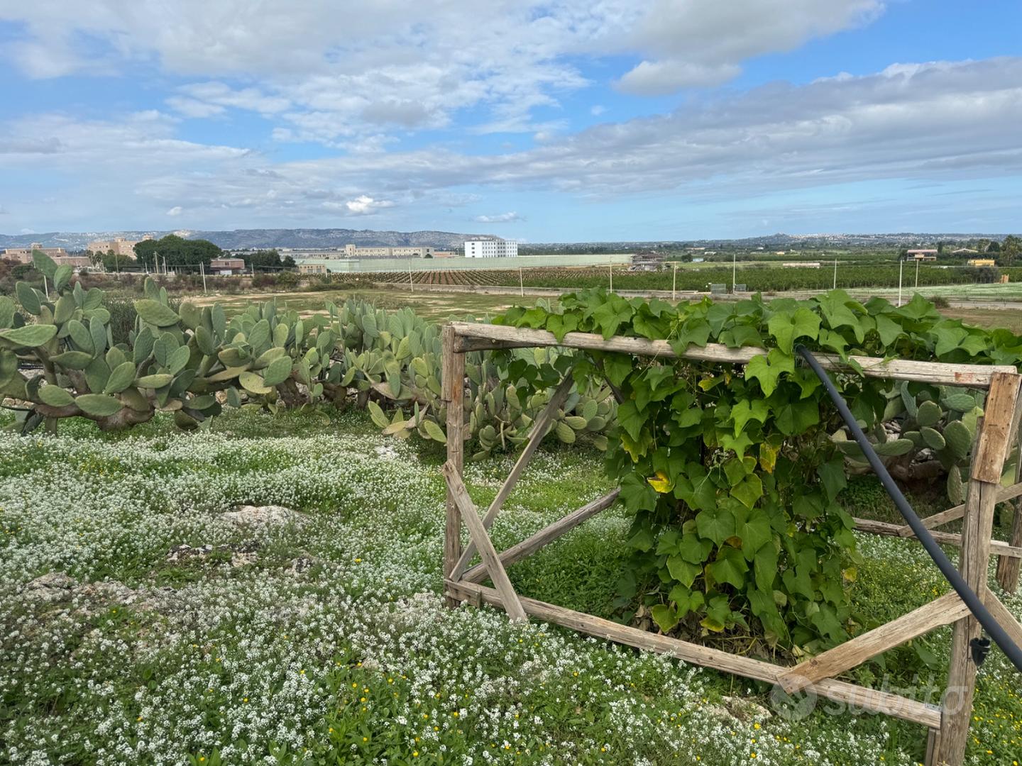 Casa in campagna con terreno - Altro