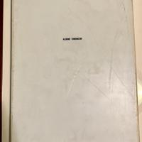 100 opere per il futuro - Albino Simoncini