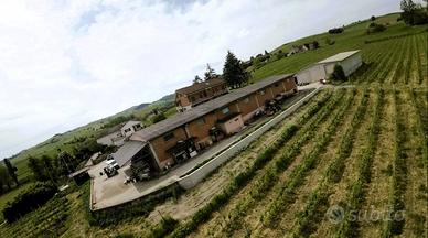 Attività / Licenza di 1000 m² a Nizza Monferrato