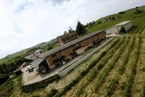 Attività / Licenza di 1000 m² a Nizza Monferrato