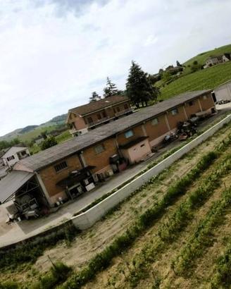 Attività / Licenza di 1000 m² a Nizza Monferrato