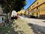 Immagine 9